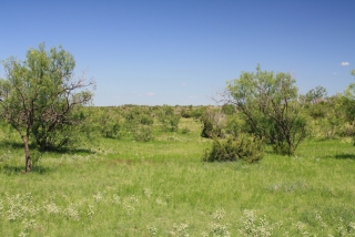 Irion and Tom Green Counties, Texas (7)